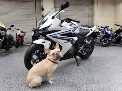 2016 Honda CBR500R CBR 500