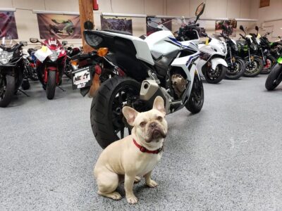 2016 Honda CBR500R CBR 500