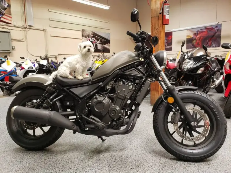 2017 Honda Rebel 500