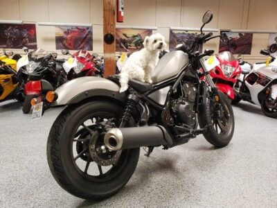 2017 Honda Rebel 500