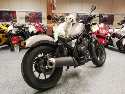 2017 Honda Rebel 500