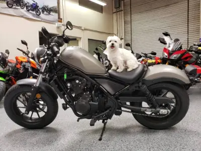 2017 Honda Rebel 500