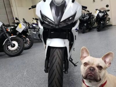 2016 Honda CBR500R CBR 500