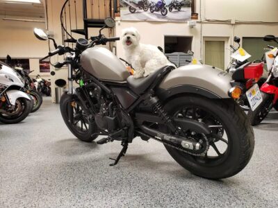 2017 Honda Rebel 500