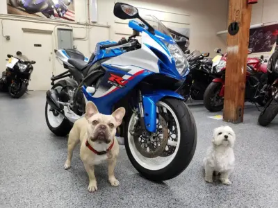 2013 Suzuki GSXR 600