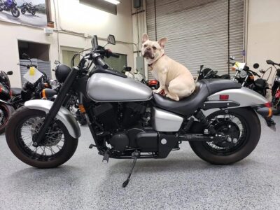 2016 Honda Shadow Phantom