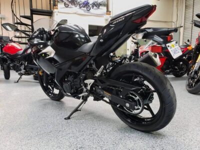 2019 Kawasaki Ninja 400 ABS