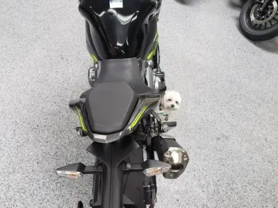 2017 Kawasaki Z900 ABS