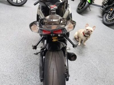 2009 Suzuki GSXR 1000
