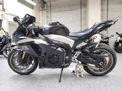 2009 Suzuki GSXR 1000