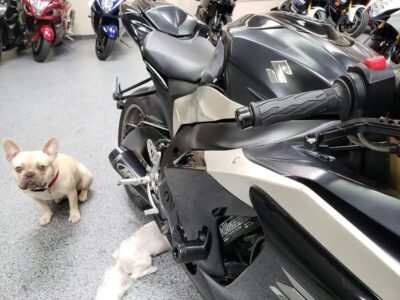 2009 Suzuki GSXR 1000