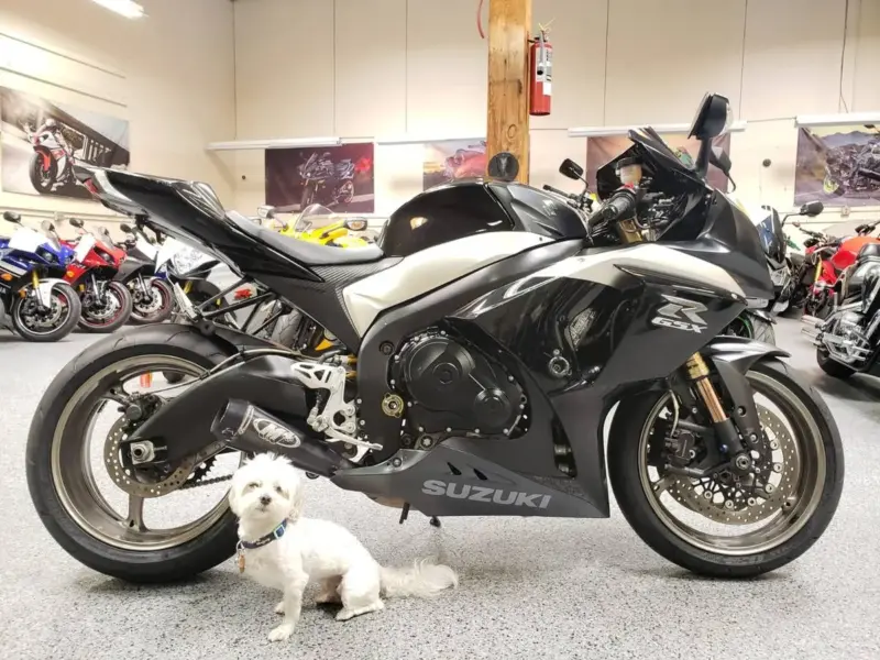 2009 Suzuki GSXR 1000