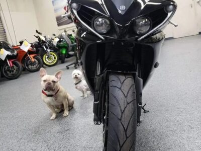 2012 Yamaha R1 RAVEN