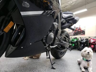 2012 Yamaha R1 RAVEN
