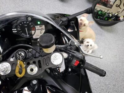 2012 Yamaha R1 RAVEN