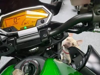 2013 Kawasaki Z1000
