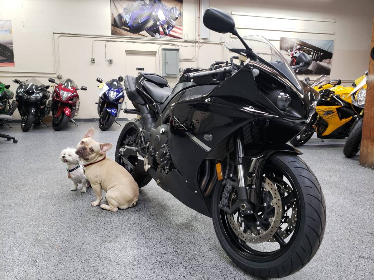 2012 Yamaha R1 RAVEN - AK Motors