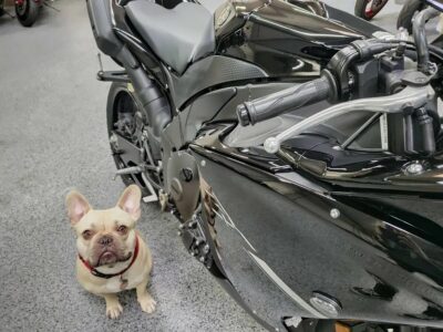 2012 Yamaha R1 RAVEN
