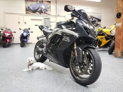 2009 Suzuki GSXR 1000