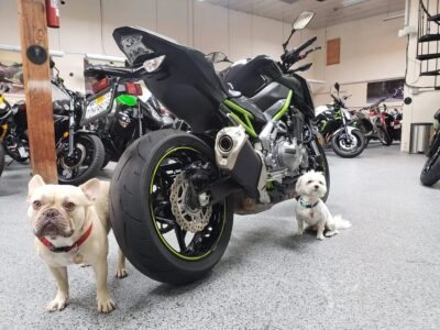2017 Kawasaki Z900 ABS