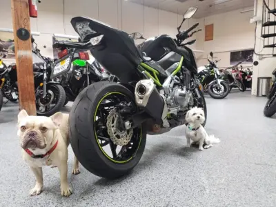 2017 Kawasaki Z900 ABS