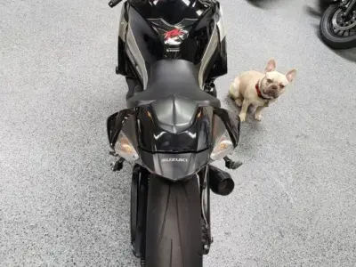 2009 Suzuki GSXR 1000
