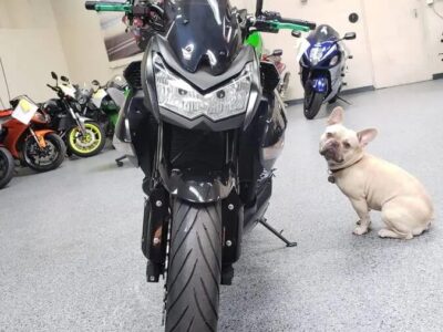 2013 Kawasaki Z1000