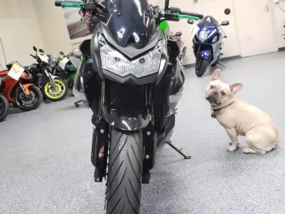 2013 Kawasaki Z1000