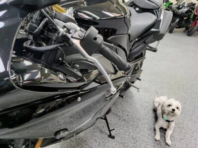 2012 Yamaha R1 RAVEN
