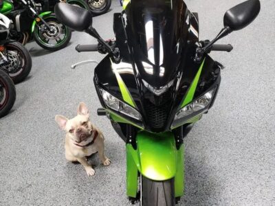 2009 Honda CBR600RR