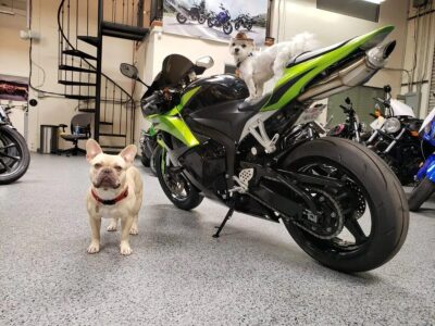 2009 Honda CBR600RR