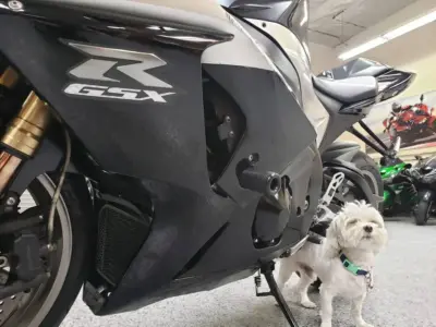 2009 Suzuki GSXR 1000