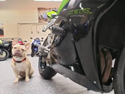 2009 Honda CBR600RR