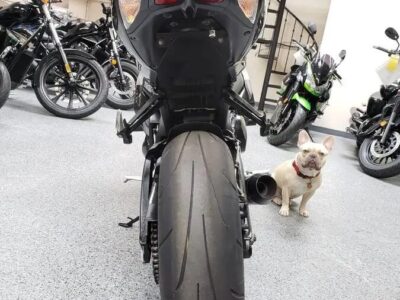2009 Suzuki GSXR 1000