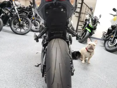 2009 Suzuki GSXR 1000