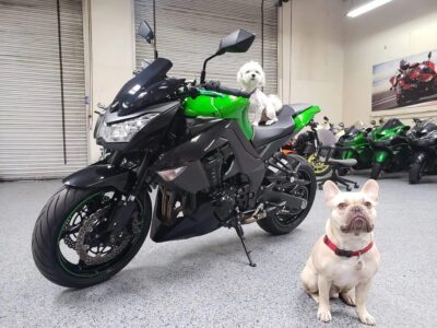 2013 Kawasaki Z1000