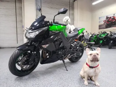 2013 Kawasaki Z1000