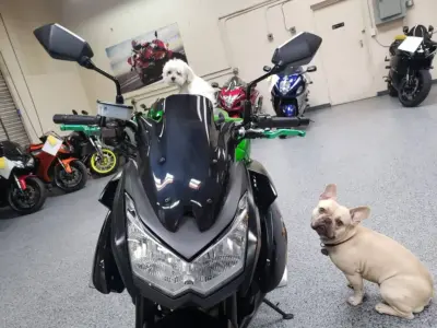 2013 Kawasaki Z1000