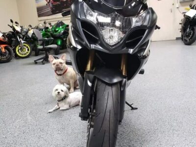 2009 Suzuki GSXR 1000