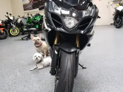 2009 Suzuki GSXR 1000