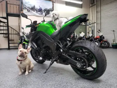 2013 Kawasaki Z1000