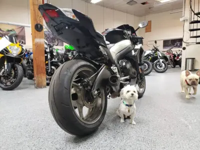 2009 Suzuki GSXR 1000