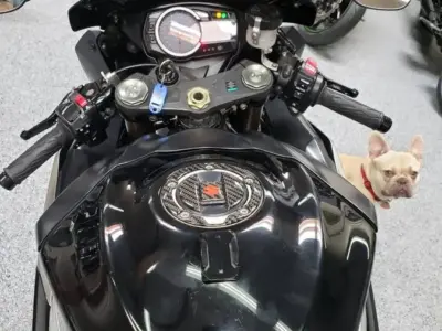 2009 Suzuki GSXR 1000