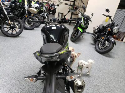 2017 Kawasaki Z900 ABS