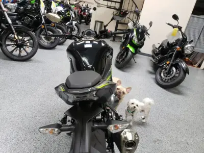 2017 Kawasaki Z900 ABS