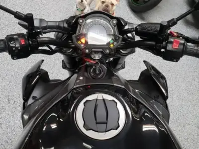 2017 Kawasaki Z900 ABS