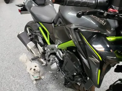 2017 Kawasaki Z900 ABS