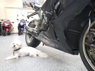 2009 Suzuki GSXR 1000