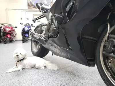 2009 Suzuki GSXR 1000