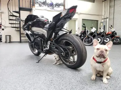 2009 Suzuki GSXR 1000